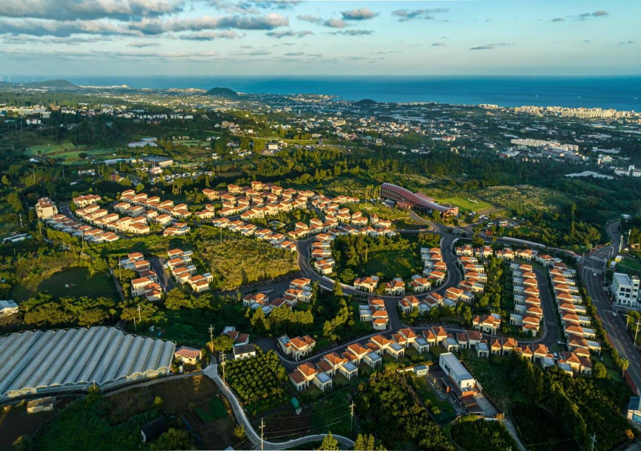 Camphortree Hotel And Resort Jeju by Eksteriør bilde